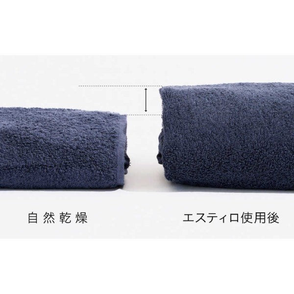コンパクト衣類乾燥機 シルバー ［乾燥容量3.0kg /電気式(50Hz/60Hz共用)］ ESTILO ILD-321UPB-JP
