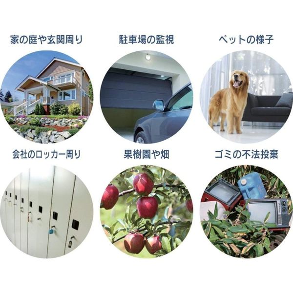 SDカード録画式センサーカメラ 液晶画面付き リーベックス SD3000LCD