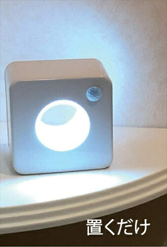 リーベックス Revex LED センサー ライト ミニ 電池式 防雨型 人感センサー マグネット付き 防犯 角型 ホワイト SL102 防犯防災用品