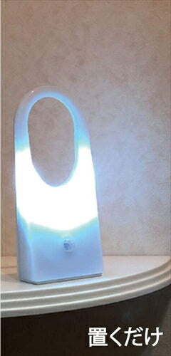 リーベックス Revex LED センサー ライト ミニ 電池式 防雨型 人感センサー 吊り下げ マグネット付き 防犯 ホワイト SL103 防犯防災用品