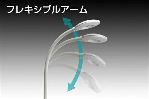 GENTOS ジェントス LEDデスクライト 眼のことを考えたデスクライト ホワイト DK－R256WH LED 白色 LEDスタンド