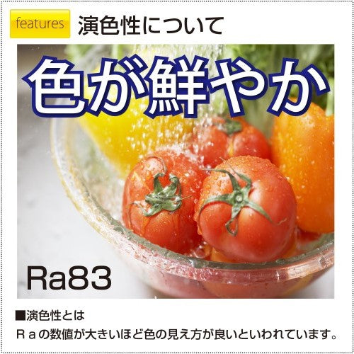 ペンダントライト 和風LEDタイプ 6畳用 昼光色 タキズミ RV60063
