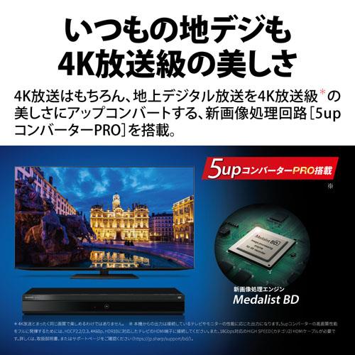 ブルーレイディスクレコーダー AQUOS(アクオス) 【4Kチューナー内蔵/2番組同時録画モデル/HDD容量2TB内蔵】 シャープ 4B-C20EW3