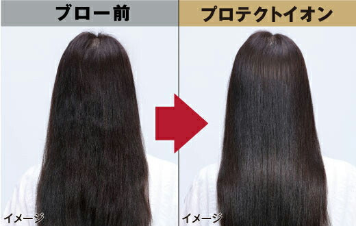 プロテクトイオン ヘアードライヤー テスコム TID5000-A