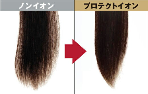 プロテクトイオン ヘアードライヤー テスコム TID5000-A