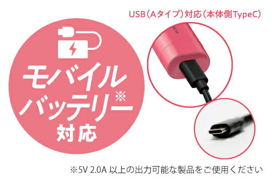 USBコンパクトブラシアイロン テスコム IBC100-P