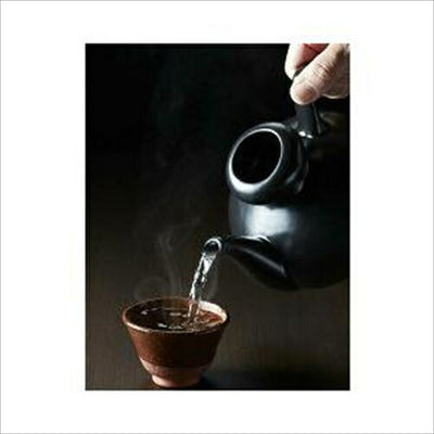 テスコム （TESCOM） 酒燗器 SK31