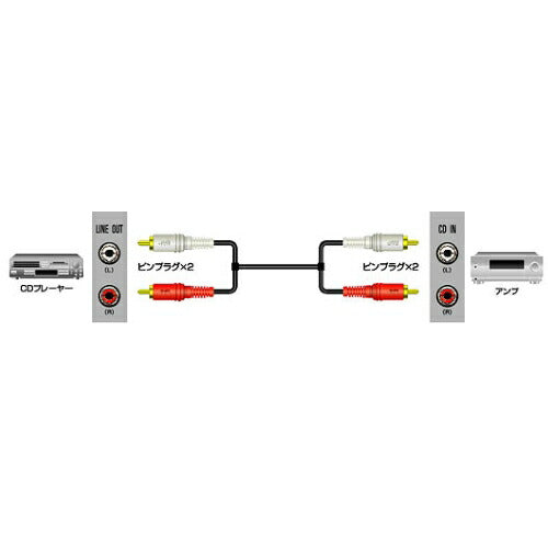 JVCケンウッド ピンプラグX2-ピンプラグX2 1m CN-180G