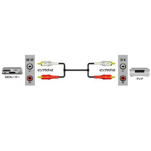 JVCケンウッドピンプラグX2-ピンプラグX2 10m CN-5100G